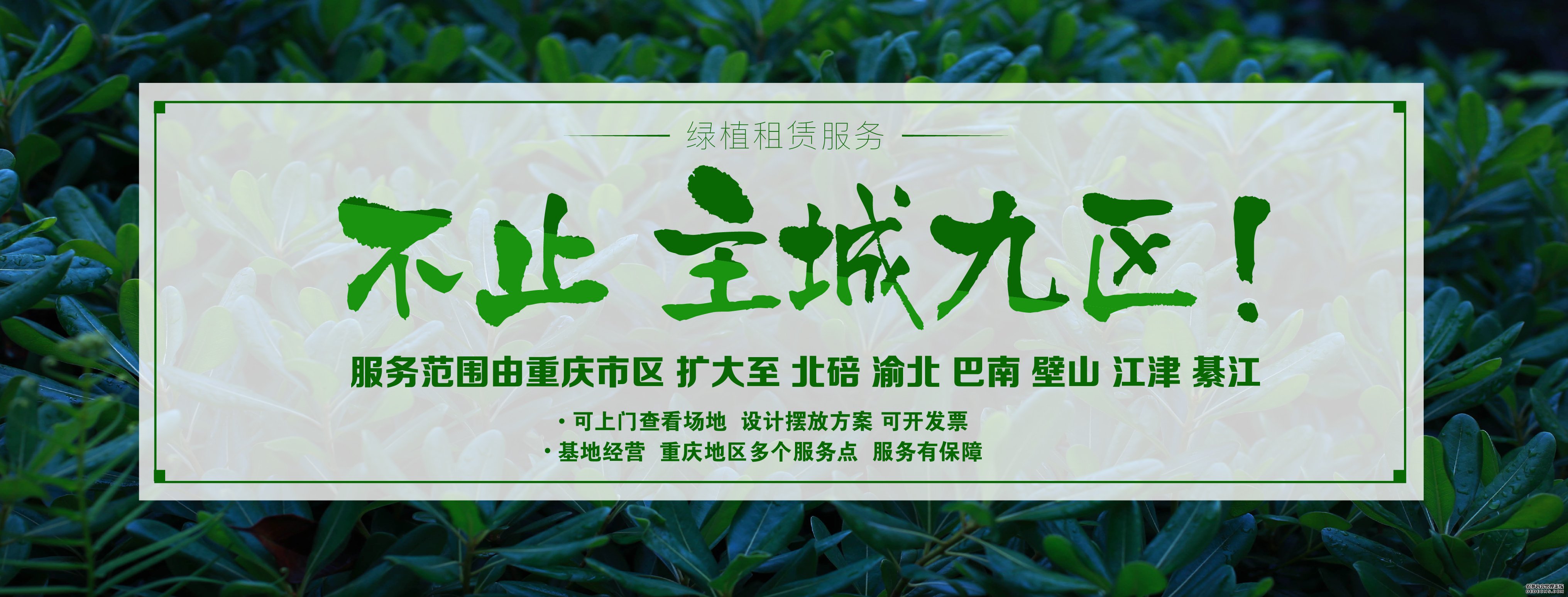 不止主城九区