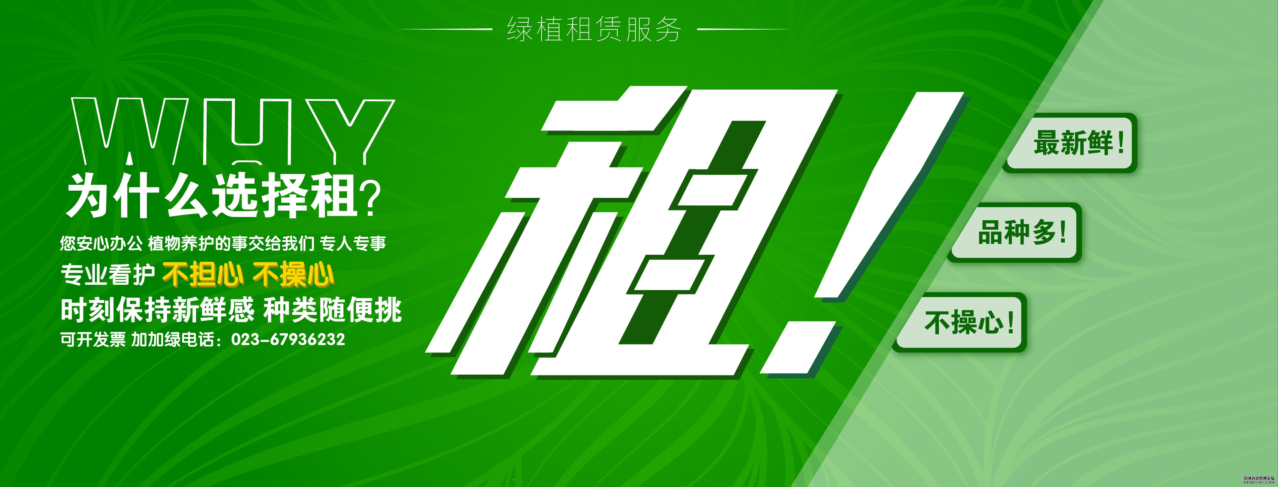 租